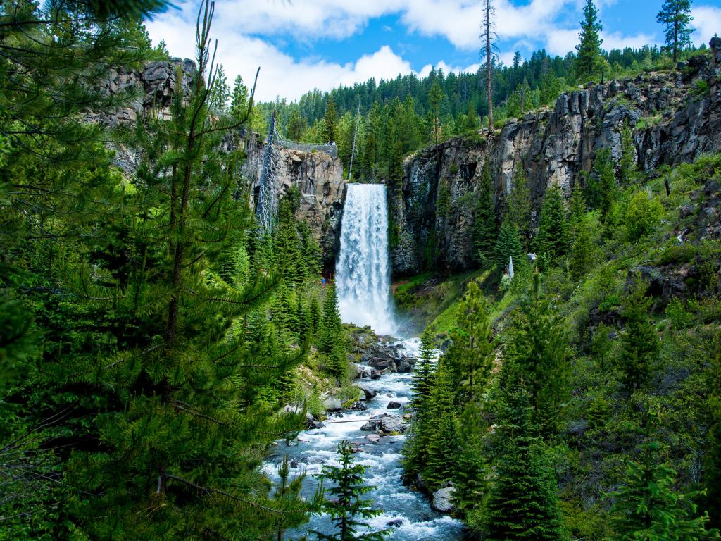Bend, Oregon, USA taken at Tumalo Falls surrounding by green trees. 