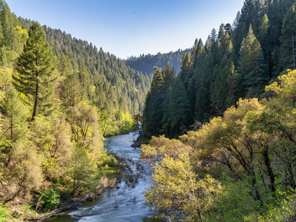 Winding river through a steep sided valley lined with pine trees