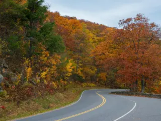 Skyline Drive, highway view during autumn, surrounded by trees