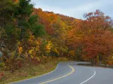Skyline Drive, highway view during autumn, surrounded by trees