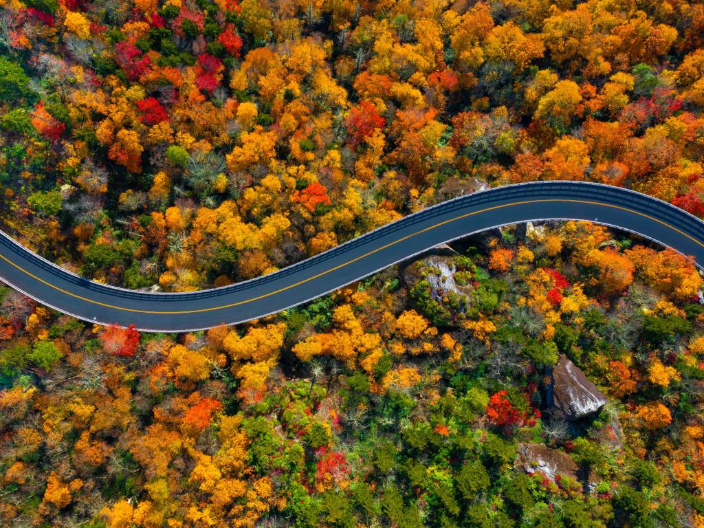 Road through the Blue Ridge Parkway mountains of North Carolina during the Fall.