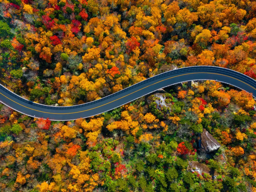 Road through the Blue Ridge Parkway mountains of North Carolina during the Fall.