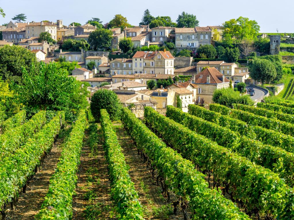 View on vineyards of Saint Emilion village in Bordeaux region, France