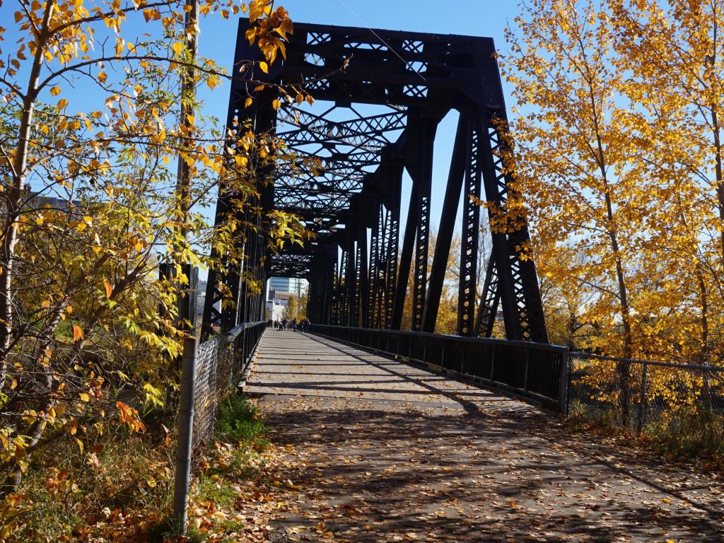 Old train bridge over Red Deer River, now part of the bike path. The river can be seen from both sides of the bridge where it connects on both sides of the path to forested downtown area.
