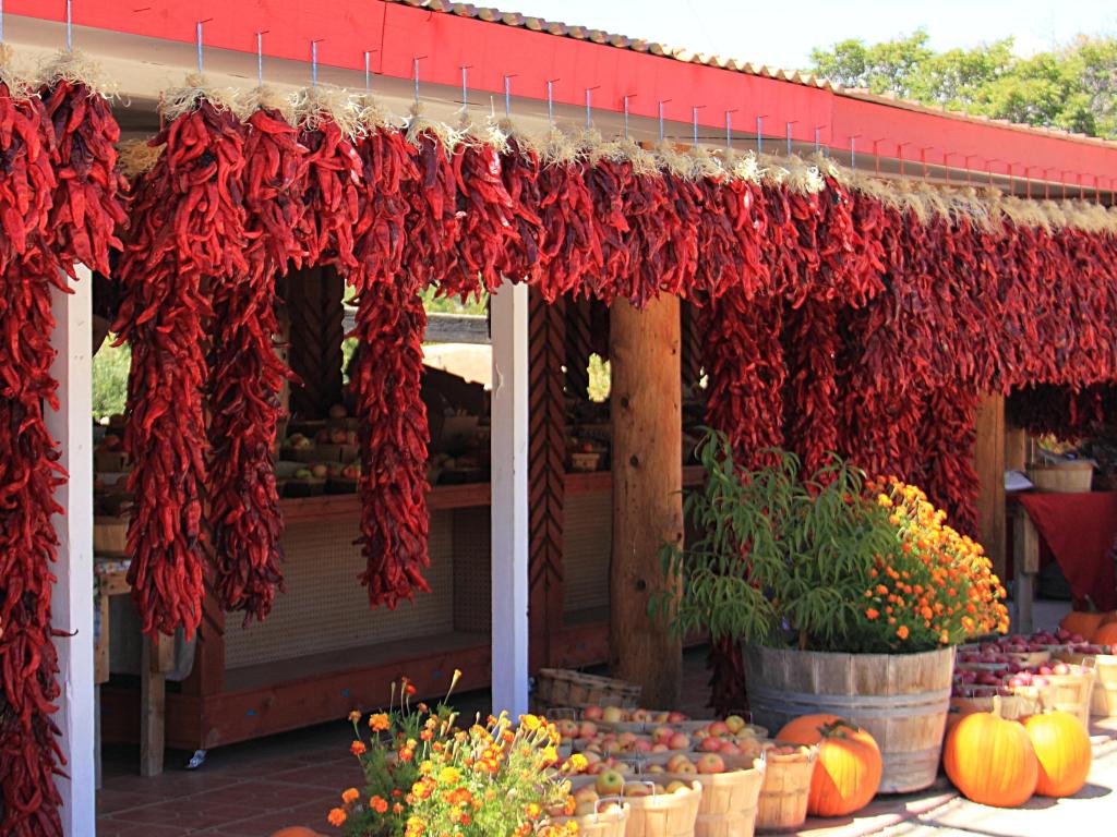 Bunches of vibrant dried red chilies strung in front of a store, bright day