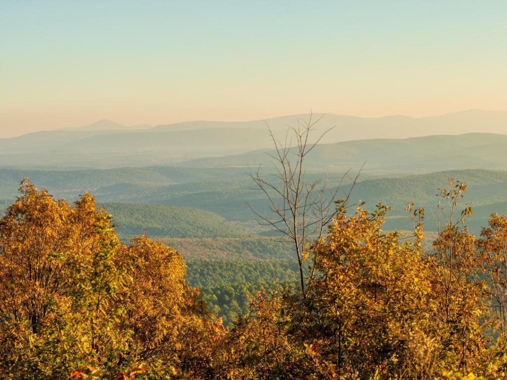 Ouachita National Forest, USA with a view over Ouachita National Forest from Talimena Scenic byway at sunrise on a November morning, with mist in the valleys and over the hill tops