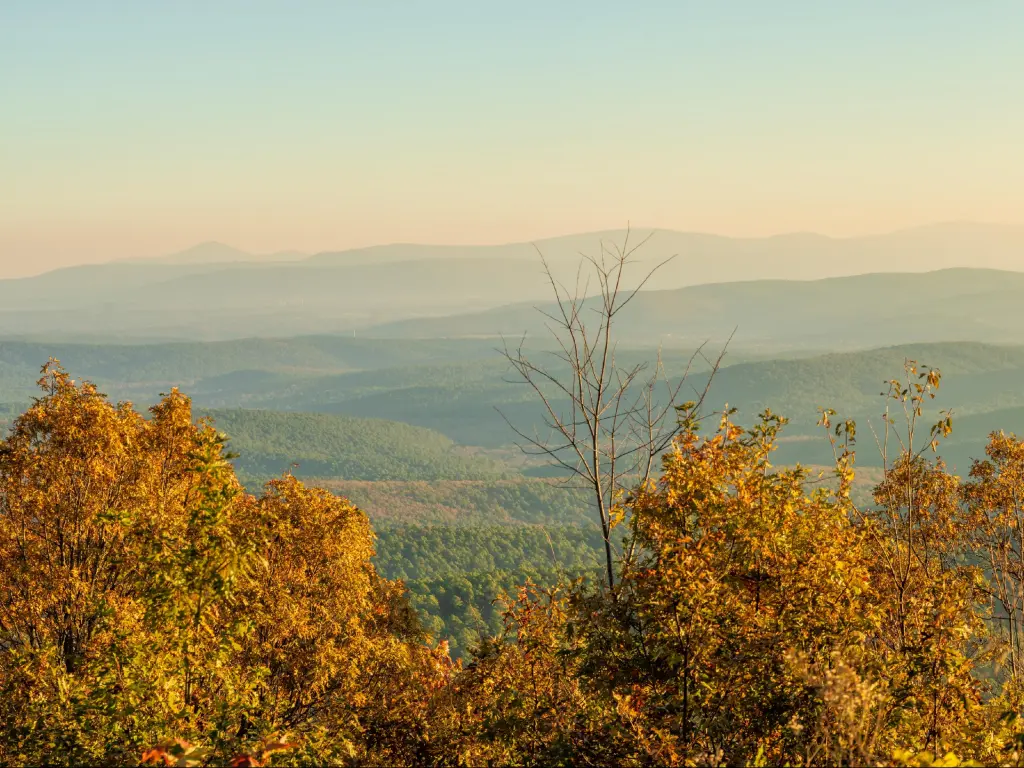 Ouachita National Forest, USA with a view over Ouachita National Forest from Talimena Scenic byway at sunrise on a November morning, with mist in the valleys and over the hill tops