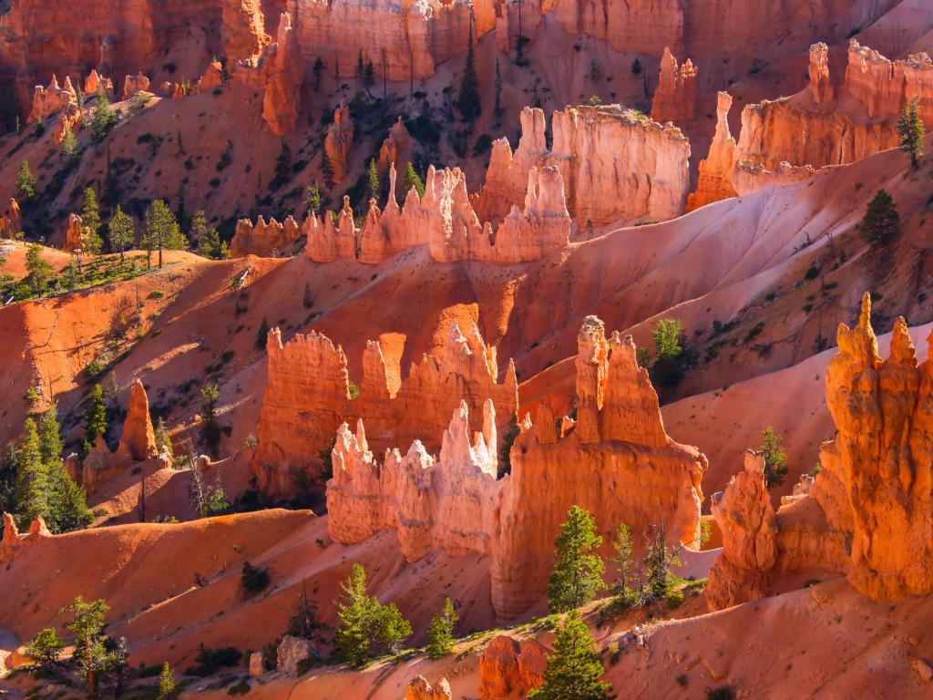 Bryce Canyon in Utah USA, one of the most beautiful national parks in the world