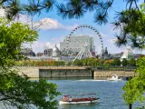 View of the touristic area of Old Port with the famous Ferris wheel in the middle, image framed by trees