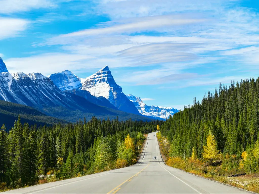 Scenic Highway 93 in Alberta passing through forests and mountains between Banff and Jasper National Parks.