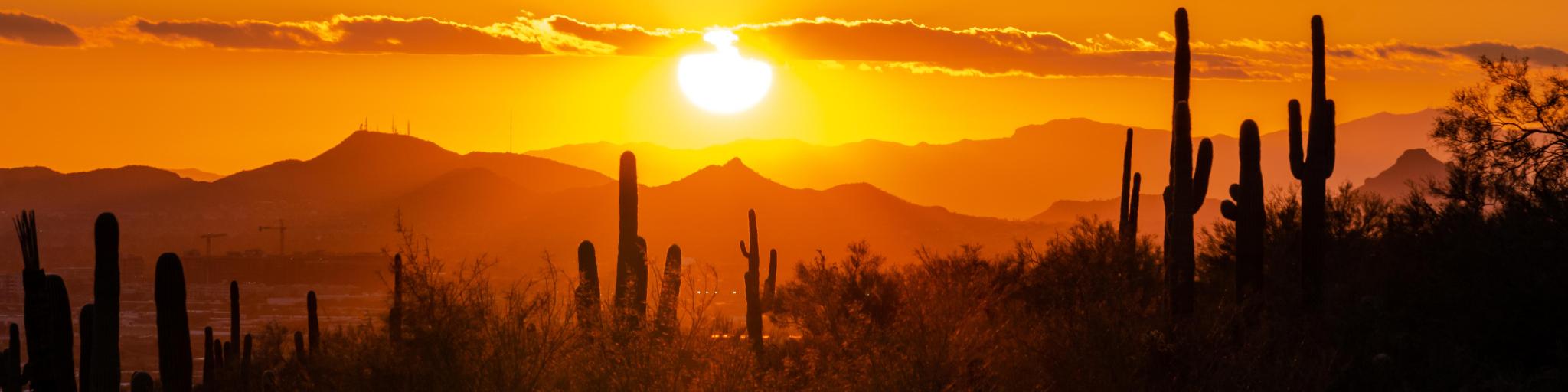 Tucson, Arizona, USA with a sunset over saguaro cactus seen as a silhouette against the sky.