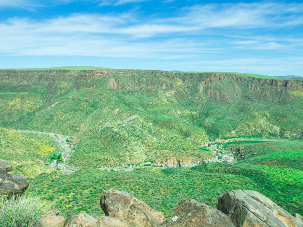 A stunning view of the valley of Agua National Monument, with the beautiful hue of green trees on a sunny day.