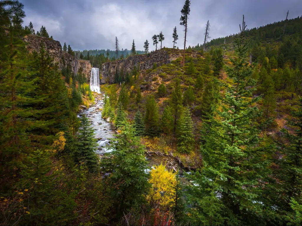 Deschutes National Forest, Bend, Oregon, USA with a view of the Tumalo Falls in the distance surrounded by thick forest and a river in the foreground.