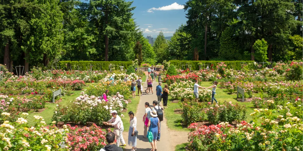 Visitors enjoying the flowers in the International Rose Test Garden in Portland
