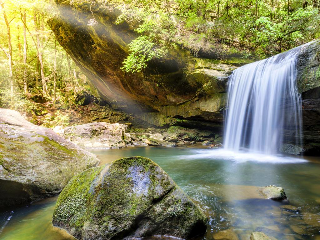 Dog Slaughter Falls in the Daniel Boone National Forest in Southern Kentucky.