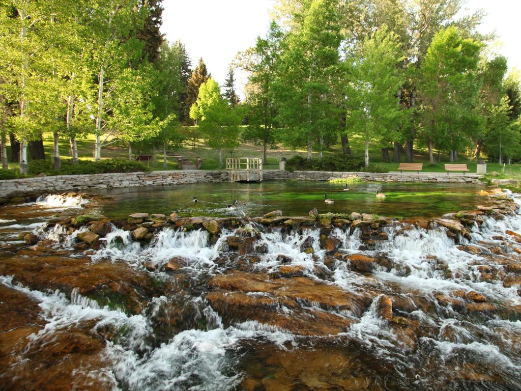 Giant Springs State Park in Great Falls, Montana with Canada Geese (Branta canadensis) in the water and a rocky section in the foreground, a park and tall trees in the distance. 