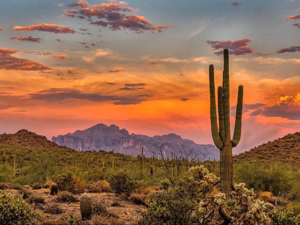 Sunset in the Sonoran Desert near Phoenix, Arizona. 
