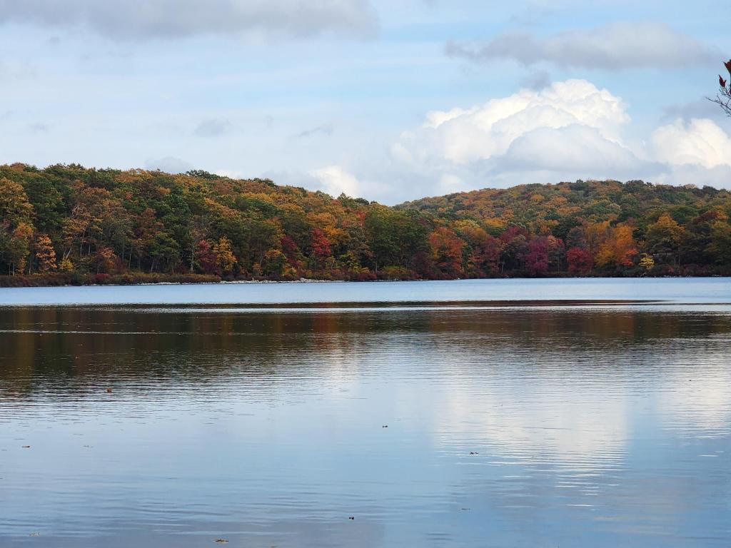 Wide view of Sunfish Pond waters with woodland in the background circling the lake, New Jersey