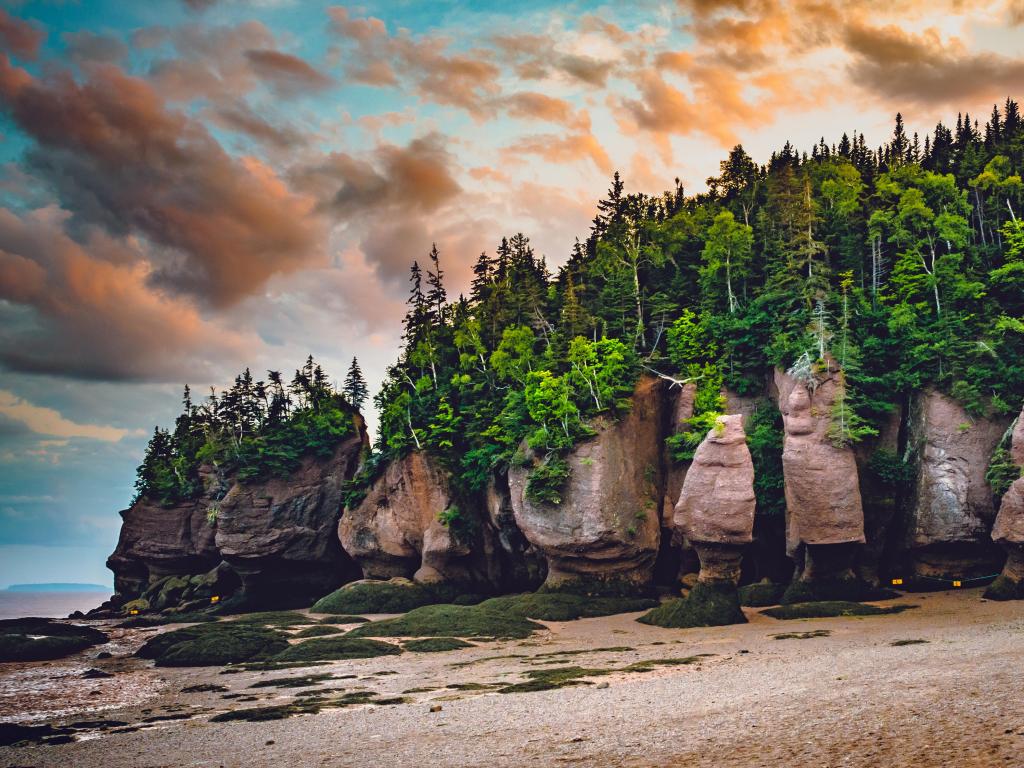 Rocky cliffs at the edge of a beach, with vivid green trees at the top