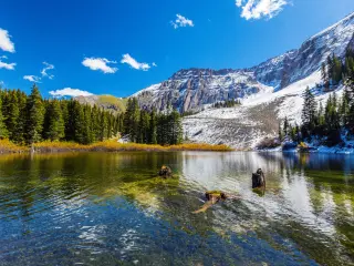 Beautiful mountain landscape on a bright sunny day, with mountains and woodlands reflected in the waterfront, Telluride, USA