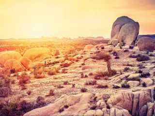 Sunset over desert in Joshua Tree National Park, California, USA.