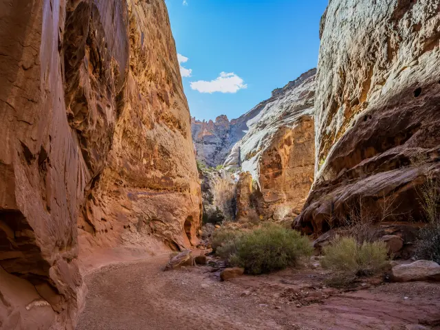 A trail amongst tall red rock cliffs in Capitol Reef National Park, with bright blue sky visible in the distance