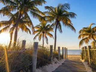 Key West, Florida, USA taken at the famous passage to the beach with a wooden boardwalk and palm trees. 