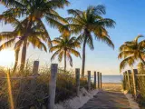 Key West, Florida, USA taken at the famous passage to the beach with a wooden boardwalk and palm trees. 