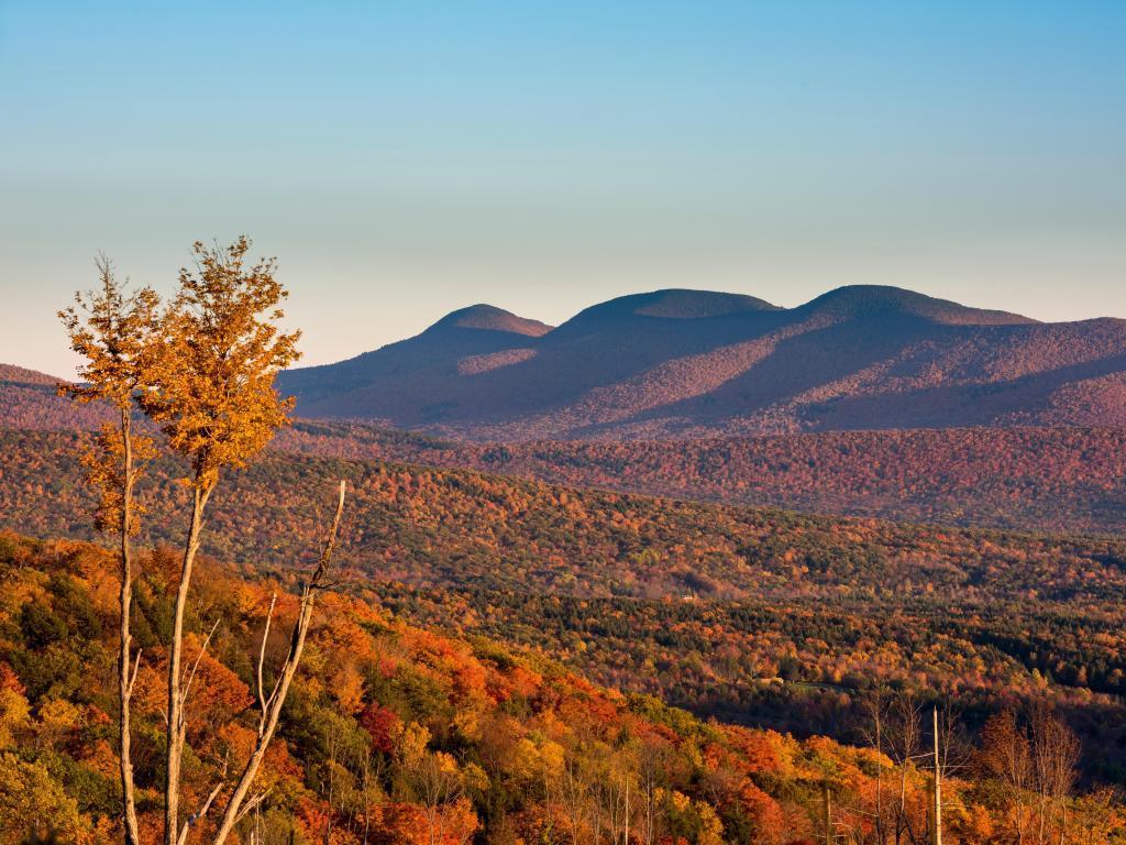 Rolling mountain landscape covered in red gold and green trees under a light blue sky