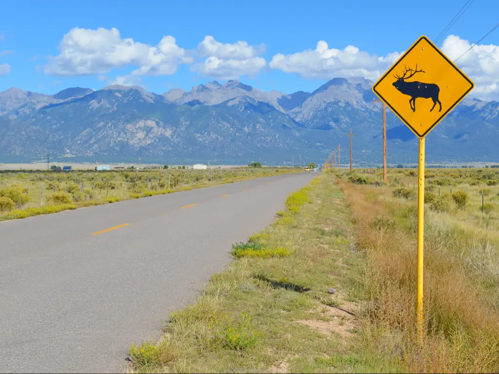 A warning road sign for elk/deer in along a scenic road in Wyoming.