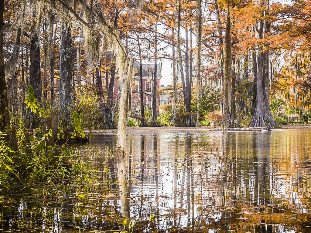 The stunning Cypress Lake in downtown Lafayette, Louisiana.