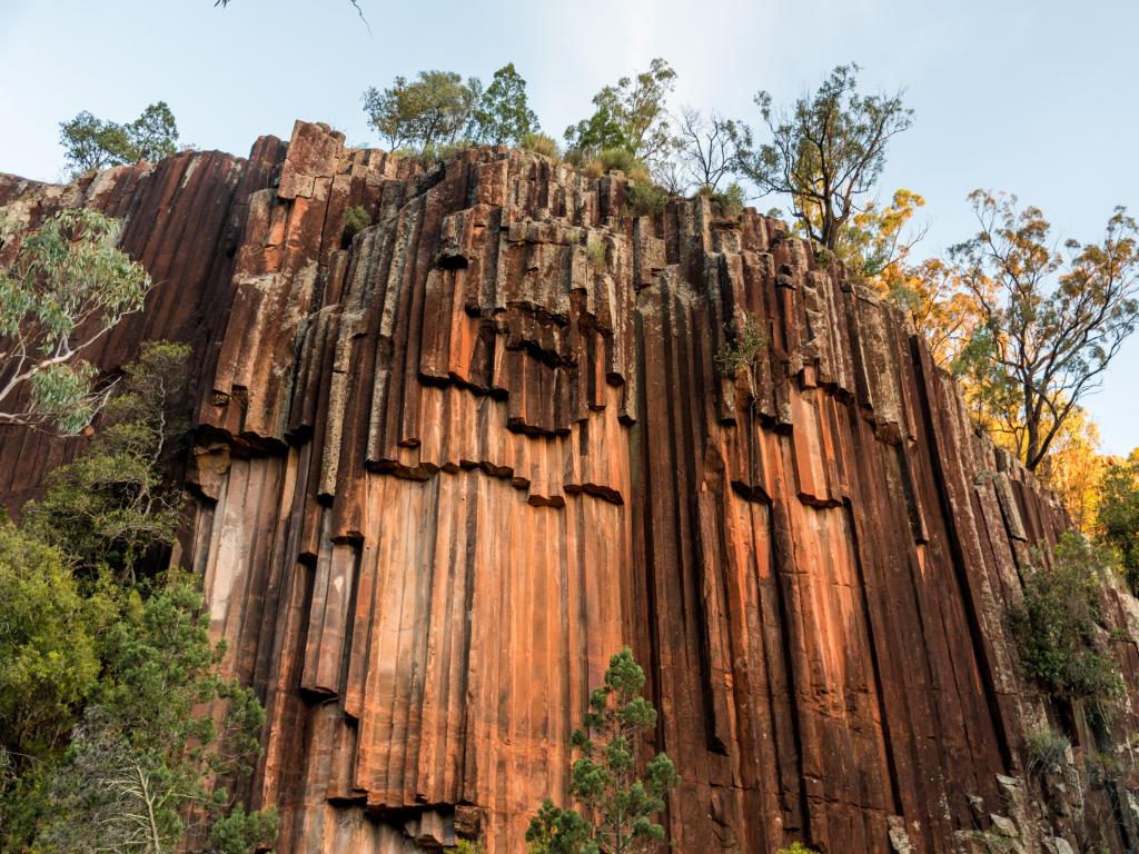 Mt. Kapatur National Park, NSW, Australia taken at the Organ piping columnar basalt rock formation at Sawn Rocks.