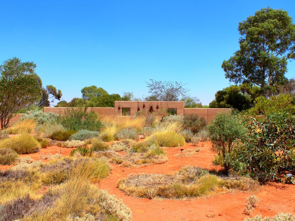 Landscaped arid garden with desert plants planted in red soil, on a sunny day