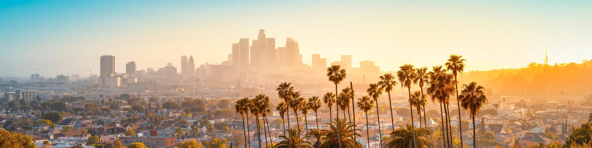 Skyline of LA during sunset with tall palm trees in the foreground