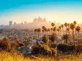 Skyline of LA during sunset with tall palm trees in the foreground