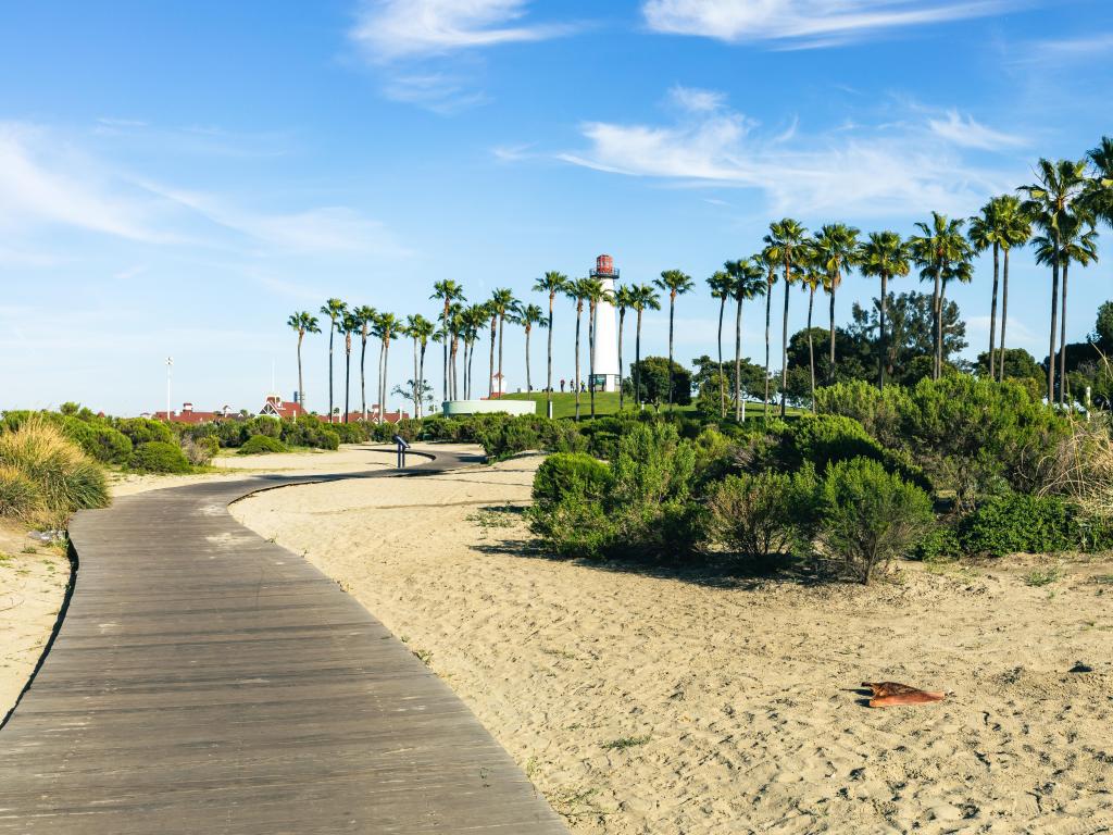 Lighthouse in distance with tall palms and wooden walkway at Long Beach, California