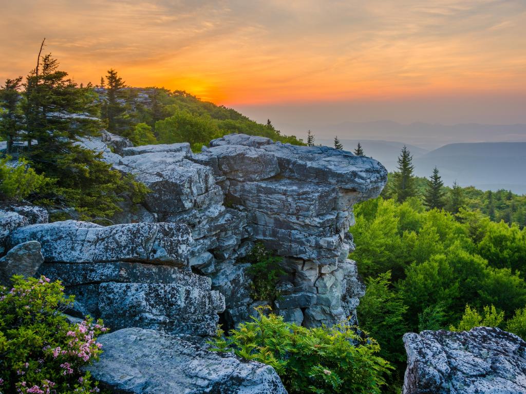 Sunrise from a summit at Bear Rocks Preserve in Dolly Sods Wilderness, Monongahela National Forest