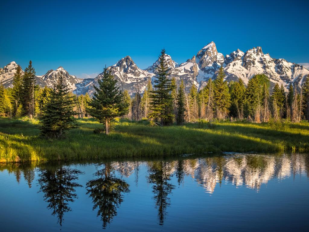 Grand Teton National Park, USA with a morning reflection in the lake, trees and snow-capped mountains in the distance, taken on a sunny clear day.