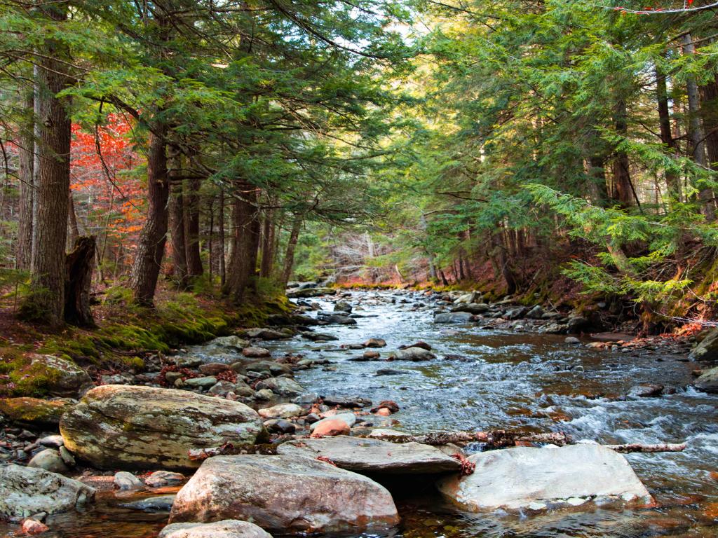 Smuggler's Notch State Park, Vermont, USA with a view of a river at early fall with rocks in the foreground and tall trees in the background. 