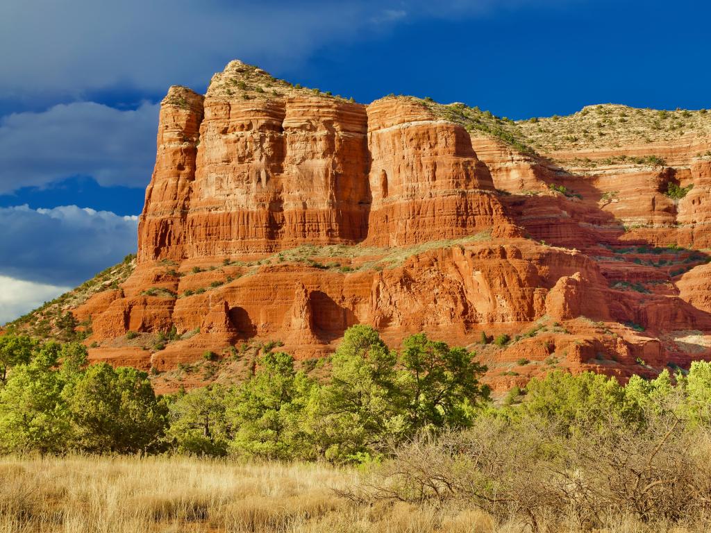 Coconino National Forest, Arizona with a wilderness area in the foreground and the large red rock formation in the distance under a blue sky.