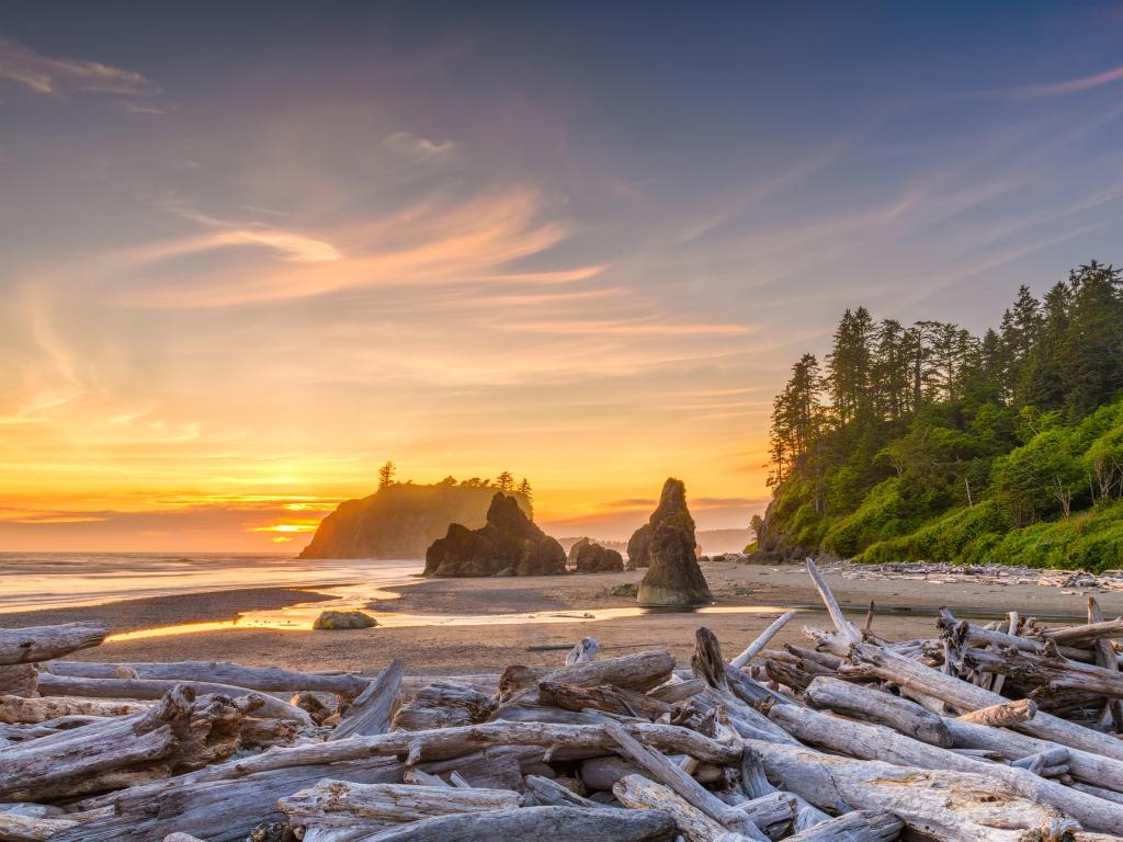 Olympic National Park, Washington, USA taken at Ruby Beach with piles of deadwood in the foreground, trees and the sun setting in the distance. 
