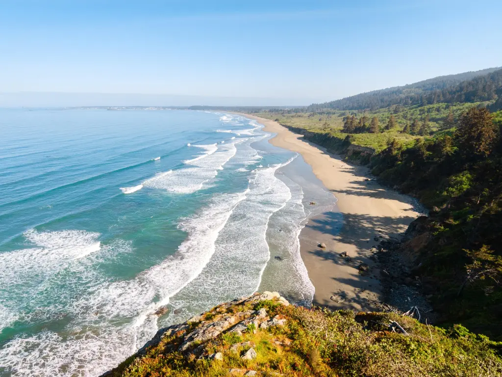Sandy beachfront with lush woodlands inland, at Redwood National Park