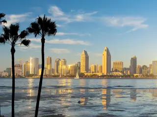 Downtown San Diego Skyline in the sun with palm trees and water in foreground 