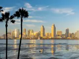 Downtown San Diego Skyline in the sun with palm trees and water in foreground 