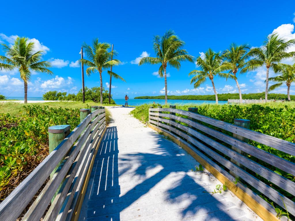 Sombrero Beach with palm trees on the Florida Keys, Marathon, Florida, USA. Tropical and paradise destination for vacation.