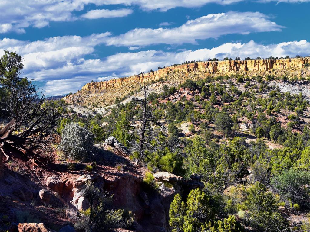 Escalante Petrified Forest State Park views from hiking trail of the surrounding area, lake and trees.