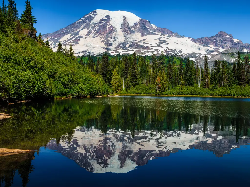 Beautiful reflection of Mt Rainier from Bench Lake in Mt Rainier National Park on a sunny day.