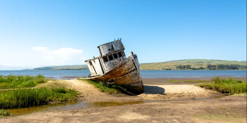 San Francisco to Tomales Bay Road Trip