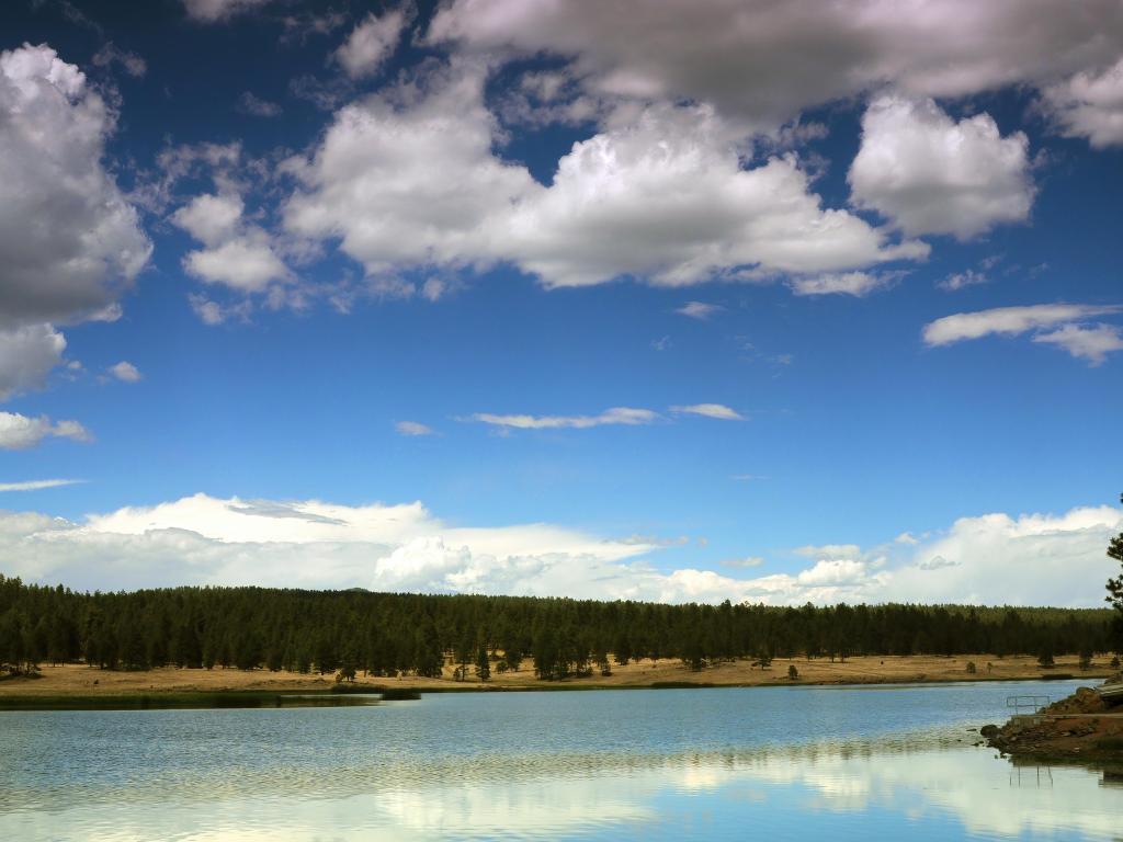 Expansive views across Luna Lake, surrounded by dense forests of White Mountains 