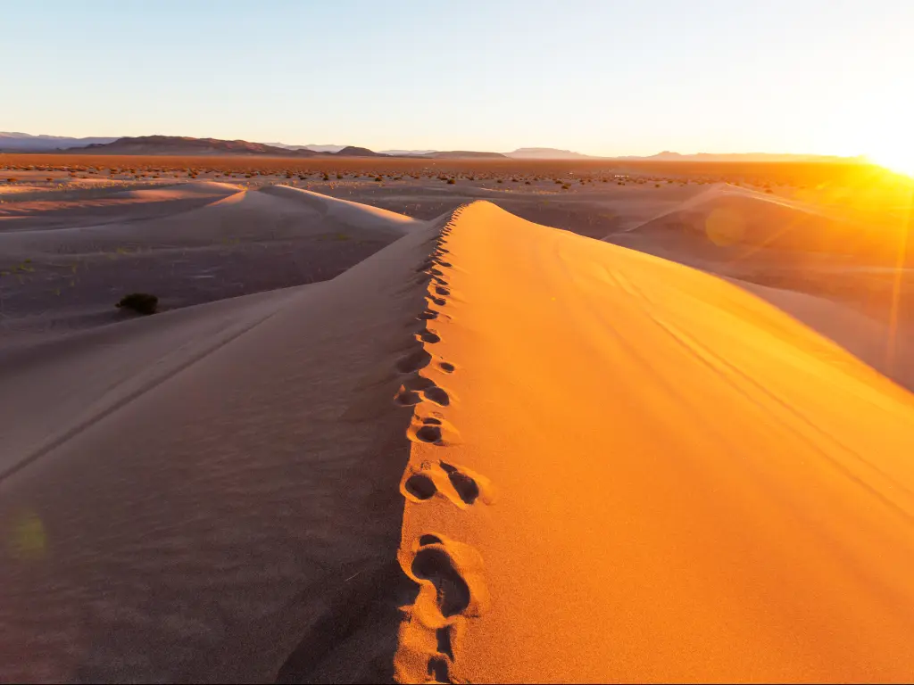 Footprints along the crest of a sand dune at sunrise in the Death Valley National Park, California.